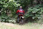 IMG_4195.JPG