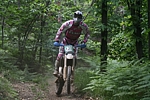 IMG_4200.JPG