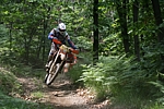 IMG_4211.JPG