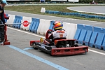010 gocart.JPG