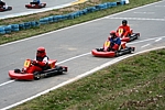 032 gocart.jpg